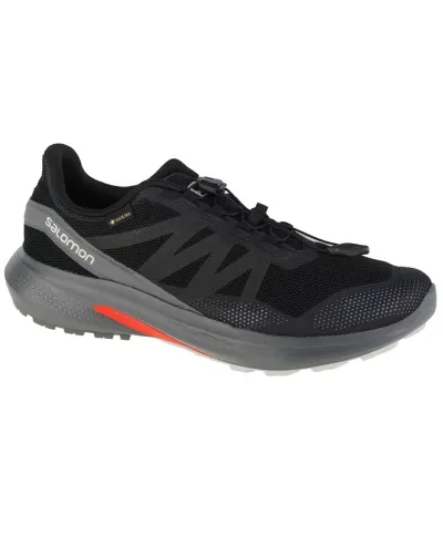 Buty do biegania Salomon Hypulse Gtx M 415959