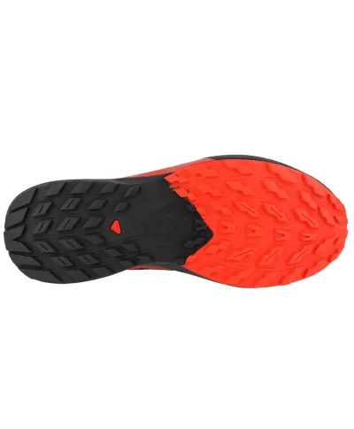 Buty Salomon Sense Ride 5 M 472143