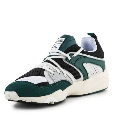 Buty Puma Blaze Of Glory Prm M 387575-02