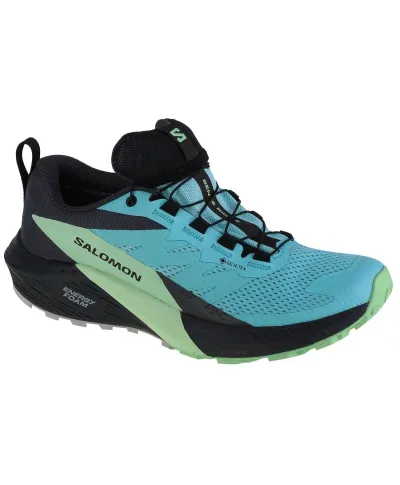 Кросівки Salomon Sense Ride 5 GTX W 472160