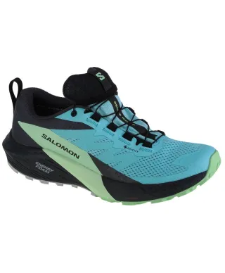 Кросівки Salomon Sense Ride 5 GTX W 472160