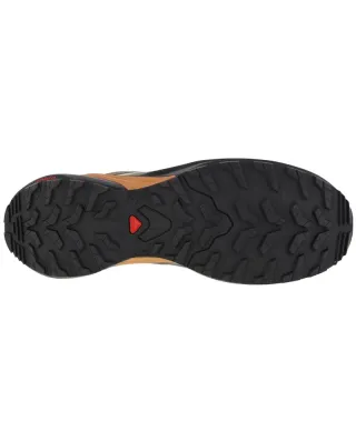 Buty do biegania Salomon X-Adventure GTX M 473213