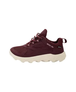 Ecco MWX Low Trainer GTX