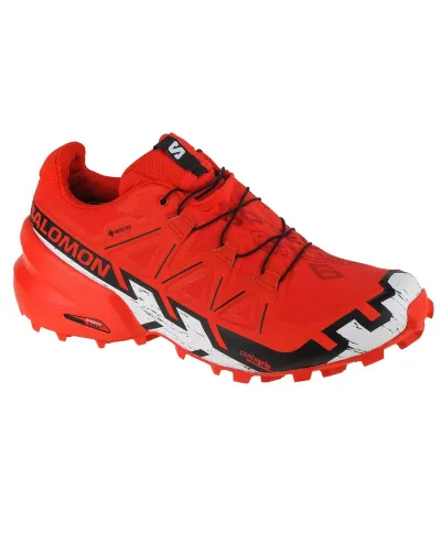 Buty do biegania Salomon Speedcross 6 GTX M 417390