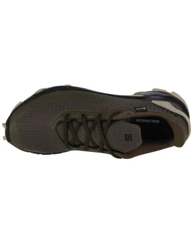 Buty do biegania Salomon Alphacross 4 GTX M 471169