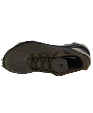 Buty do biegania Salomon Alphacross 4 GTX M 471169