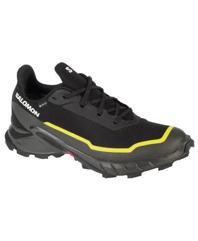 Buty Salomon Alphacross 5 GTX M 474604