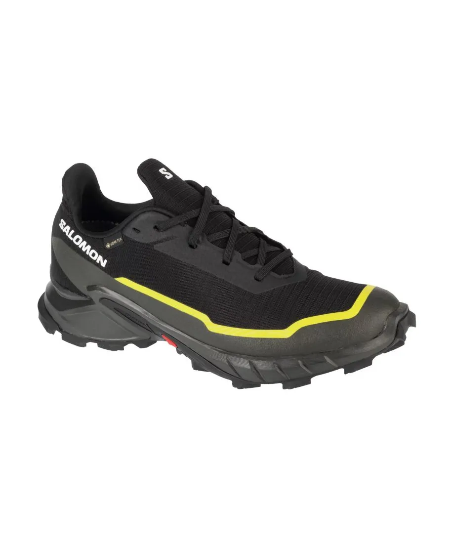 Buty Salomon Alphacross 5 GTX M 474604