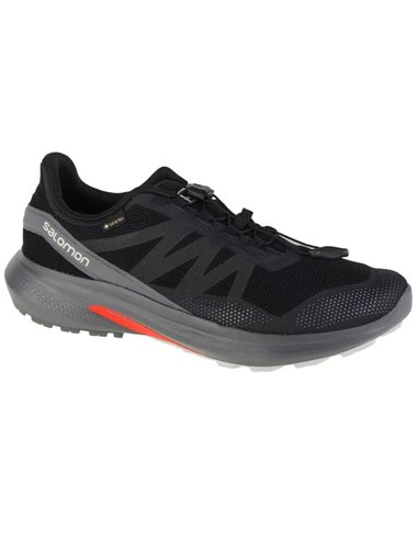 Buty do biegania Salomon Hypulse Gtx M 415959