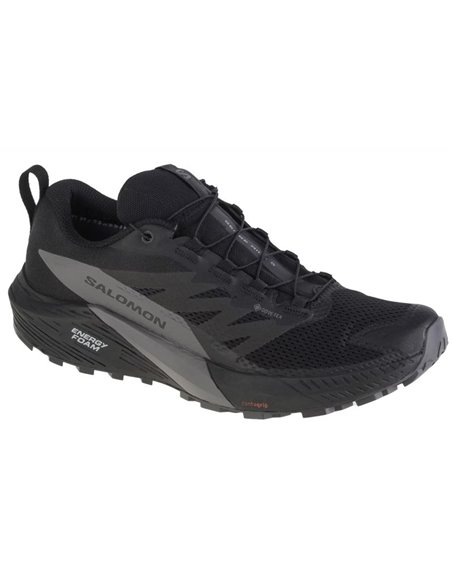 Buty do biegania Salomon Sense Ride 5 GTX M 471472