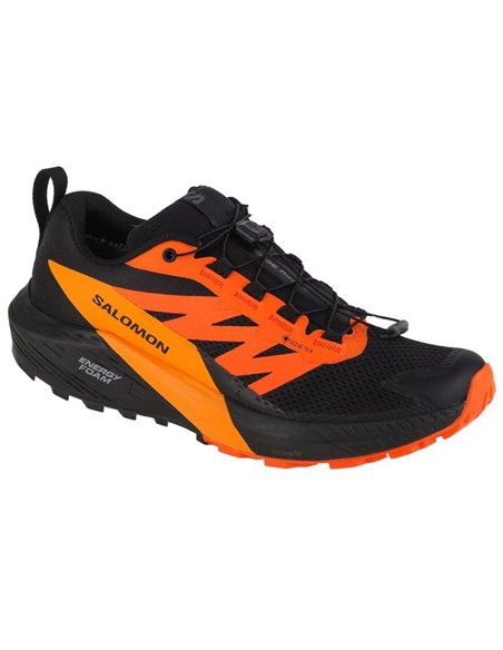 Buty do biegania Salomon Sense Ride 5 GTX M 471473