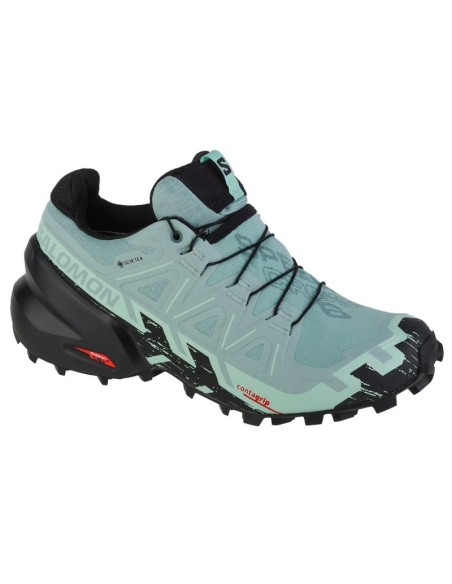 Buty do biegania Salomon Speedcross 6 GTX W 417435