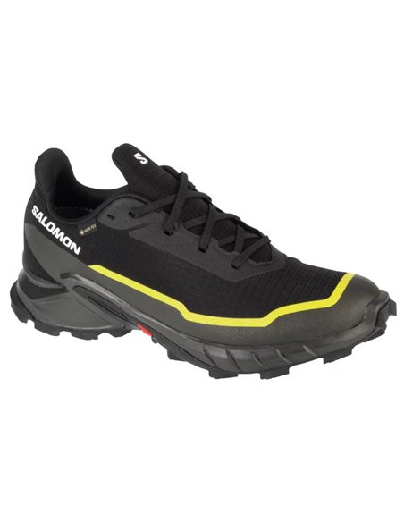 Buty Salomon Alphacross 5 GTX M 474604