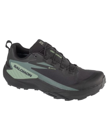 Buty do biegania Salomon Genesis GTX M 475187