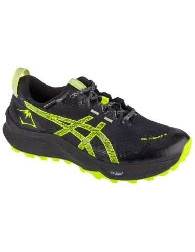 Buty do biegania Asics Gel-Trabuco 12 GTX M 1011B801-003